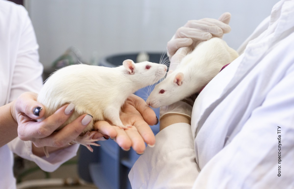 5G radiasiya beyin toxumasını məhv edir - ARAŞDIRMA