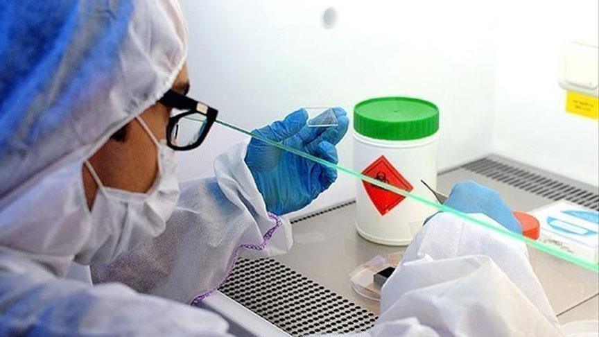 Azərbaycan dünyada koronavirusla mübarizədə ön sıralarda qərarlaşıb